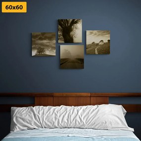 Set di quadri – Natura misteriosa in versione seppia