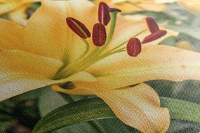 Stampa su tela – Giglio giallo