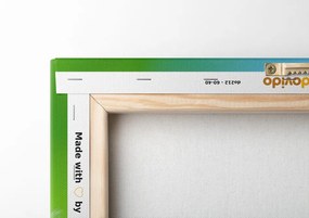 Stampa su tela – Dettaglio stupendo di soffione