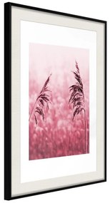 Poster  Amaranth Meadow  Cornice Quadri Cornice nera con pass-partout, Larghezza x Altezza Home decor 40x60