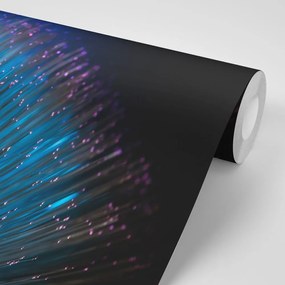 Carta da parati – Fibra ottica