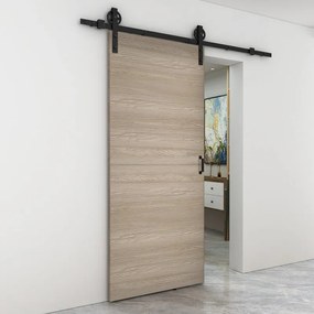 Porta scorrevole Swin, L 93 x H 212 cm, con binario Rodeo