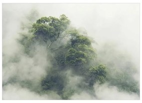 Fotomurale adesivo Foggy Amazon