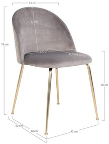 Set di 2 sedie da pranzo in velluto grigio chiaro Geneve - House Nordic