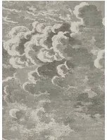 Cole & Son Carta da parati Nuvolette - Gilver/ Charcoal
