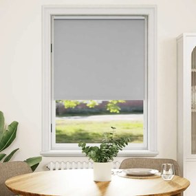 Tenda A Rullo Oscurante 80 X 175 Cm Grigio /