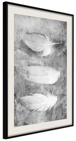 Poster  Delicate Feathers  Cornice Quadri Cornice nera con pass-partout, Larghezza x Altezza Home decor 30x45