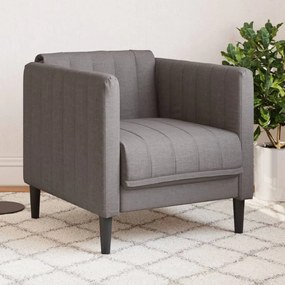 Poltrona Grigio Talpa İn Tessuto /