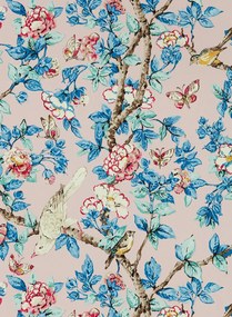 Sanderson Carta da parati Caverley - Rose/ French Blue