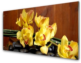 Rivestimento parete cucina Fiore di una pianta di orchidea 100x50 cm