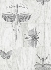 Arte International Carta da parati Wings - 42001