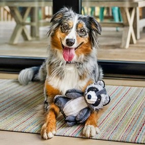 Giocattolo per cane Procione - P.L.A.Y.