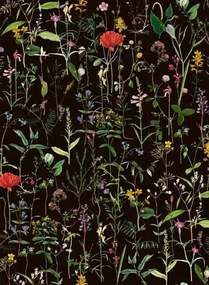 Mindthegap Carta da parati Aquafleur - WP20173