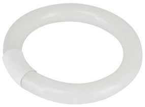 Circolina fluorescente G10Q T9 21cm da 22W in vetro Bianco freddo 6500K Aigostar