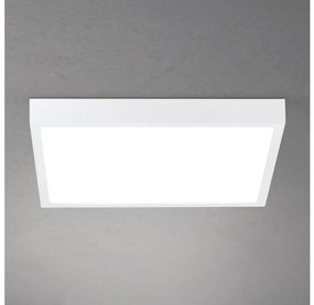 Orion - Plafoniera LED dimmerabile DISC LED/30W/230V 2700/3000/4000K 39x39 cm bianca