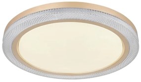 Globo 41372-24 - Plafoniera dimmerabile RGBW BOLLY LED/20W/230V + +TC