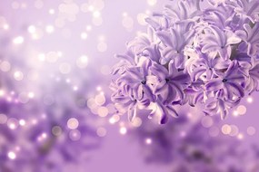 Carta da parati autoadesiva – Fiore lilla viola