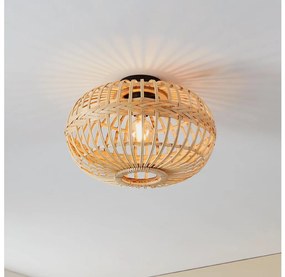 Eglo 43723 - Plafoniera AMSFIELD 1xE27/40W/230V