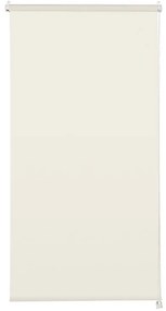 Tenda a rullo filtrante INSPIRE Screen beige lino, bianco 220x250 cm