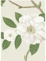 Sanderson Carta da parati Christabel - Ivory/ Cream