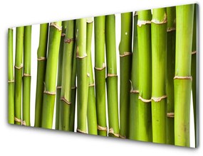 Quadro in vetro acrilico Bambù Pianta Natura 100x50 cm