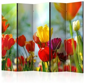 Paravento Spring Tulips II [Room Dividers]
