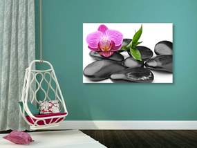 Quadro su tela – Pietre per il benessere massaggio