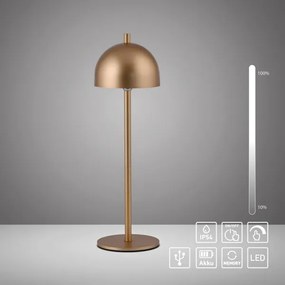 Schöner Wohnen 19244-12 - Lampada da tavolo dimmerabile a LED BELLIS LED/2,5W/5V IP54, oro