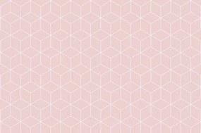 Carta da parati – Cubi rosa