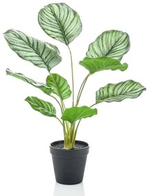 Calathea Orbifolia Artificiale 45 Cm İn Vaso /