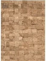 Arte Carta da parati Alba - Bark