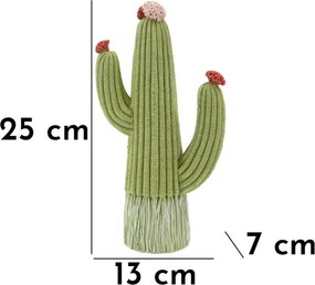 Cactus Cm 13X7X25