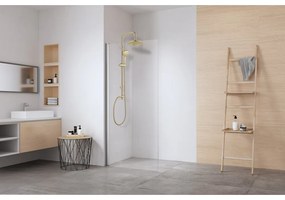 Set per doccia oro opaco in acciaio inox 101 cm Young Line – Wenko