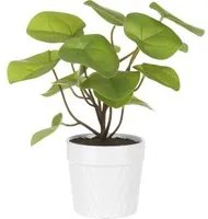 Pianta artificiale con vaso rattan 35 cm