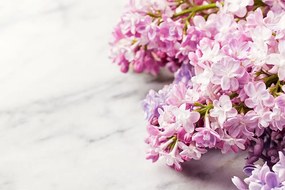 Quadro su tela – Splendidi fiori su sfondo di marmo