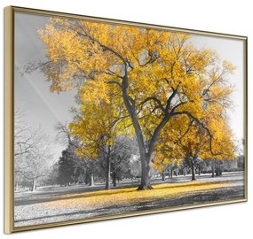 Poster  Golden Tree  Cornice Quadri Cornice d'oro, Larghezza x Altezza Home decor 90x60