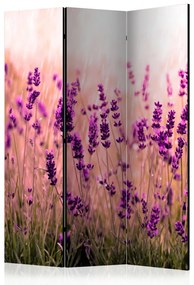 Paravento separè Lavanda sotto la pioggia - fiori romantici di lavanda viola in campo