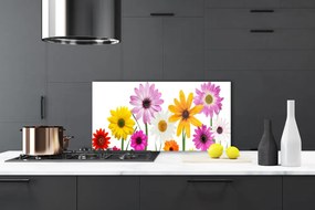 Pannello cucina paraschizzi Fiori colorati della natura 100x50 cm