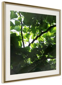 Poster  Under Cover of Leaves  Cornice Quadri Cornice d'oro con passe-partout, Larghezza x Altezza Home decor 50x50