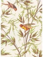 Little Greene Carta da parati Great Ormond Street - Galette