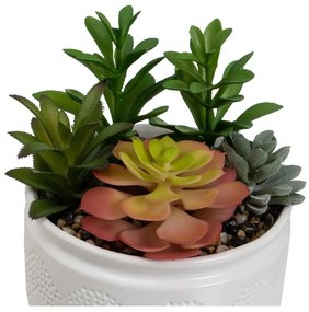 Piante artificiali in set da 2 (altezza 19 cm) Cactus - Casa Selección