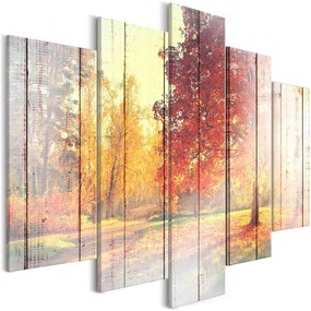 Quadro  Autumn Sun (5 Parts) Wide  Colore Bianco, Dimensioni e Misure 200x100