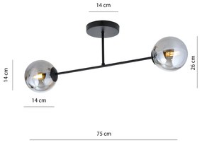 Plafoniera Moderna Roma 2 Luci In Acciao Nero E Sfere In Vetro Fumè