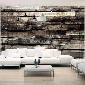 Fotomurale adesivo  Memory of Trees  Larghezza x Altezza Home decor 392x280