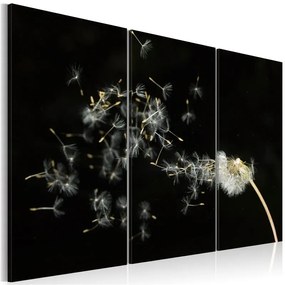 Quadro Soffioni effimeri  Colore bianco e nero, Dimensioni e Misure 120x80