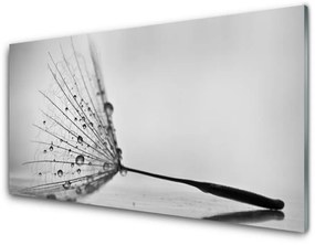 Quadro su vetro Semi di soffiaggio 100x50 cm