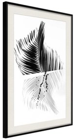 Poster  Abstract Feather  Cornice Quadri Cornice nera con pass-partout, Larghezza x Altezza Home decor 40x60