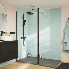 Walk-in L 120 x H 200 cm, vetro 8 mm vetro senza finitura / trasparente nero