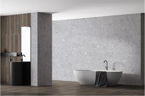 Piastrella da pavimento interno 120 x 280 cm Sp. 6 mm rettificato Ceppo in gres naturale bianco opaco traffico intenso (pei 4/5) R10 3.36 mq
