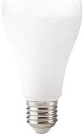 Lampadina LED GS E27/22W/230V 4000K